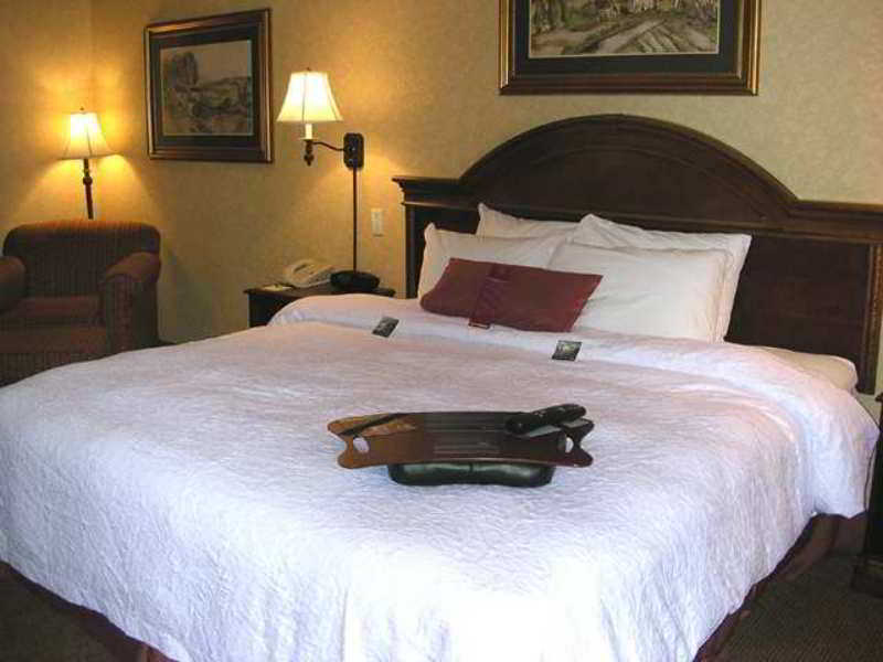 Hampton Inn Coventry-Warwick Area Pokoj fotografie